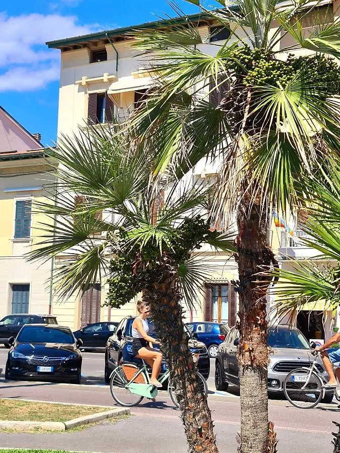 Suite Carducci Viareggio Apartment