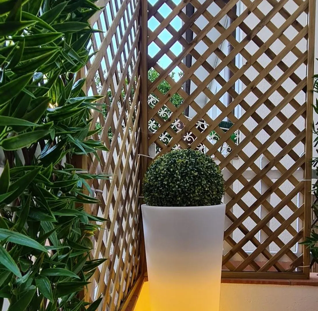 Suite Carducci Viareggio Appartamento